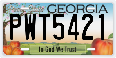 GA license plate PWT5421
