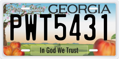 GA license plate PWT5431