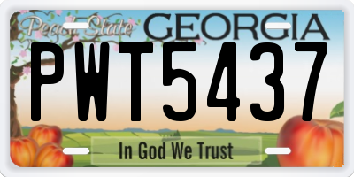 GA license plate PWT5437