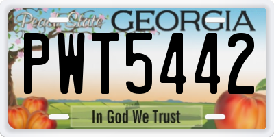 GA license plate PWT5442