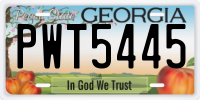 GA license plate PWT5445