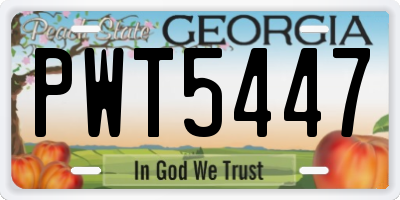 GA license plate PWT5447