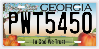 GA license plate PWT5450