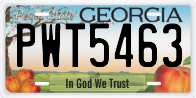 GA license plate PWT5463
