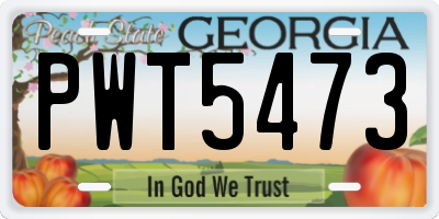 GA license plate PWT5473