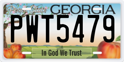 GA license plate PWT5479