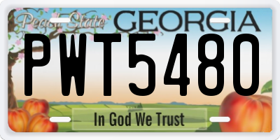 GA license plate PWT5480