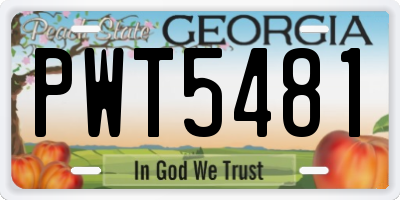 GA license plate PWT5481