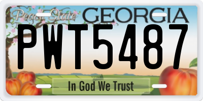 GA license plate PWT5487