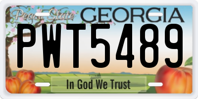 GA license plate PWT5489