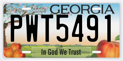 GA license plate PWT5491