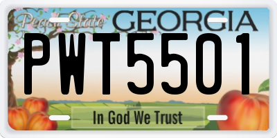 GA license plate PWT5501