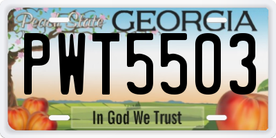 GA license plate PWT5503