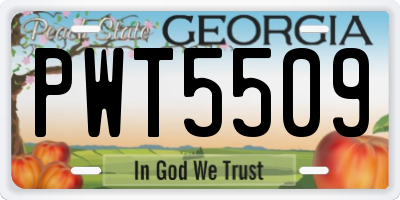 GA license plate PWT5509