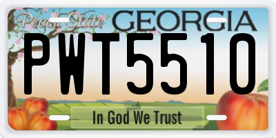 GA license plate PWT5510