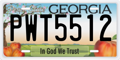 GA license plate PWT5512