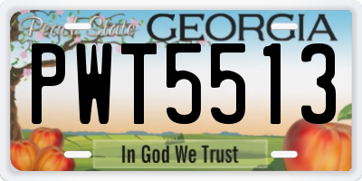 GA license plate PWT5513