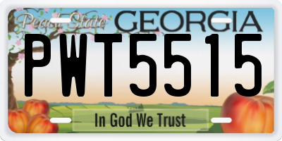 GA license plate PWT5515