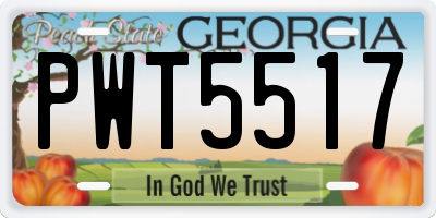 GA license plate PWT5517