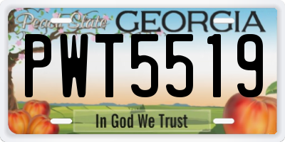 GA license plate PWT5519