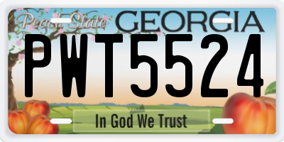 GA license plate PWT5524