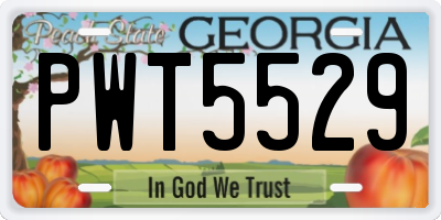 GA license plate PWT5529