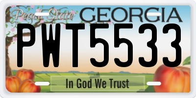 GA license plate PWT5533