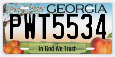 GA license plate PWT5534