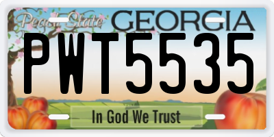 GA license plate PWT5535