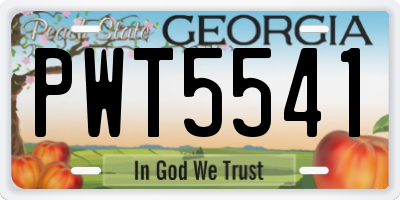 GA license plate PWT5541