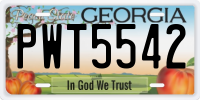 GA license plate PWT5542