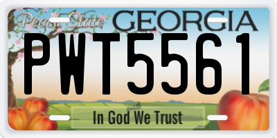 GA license plate PWT5561