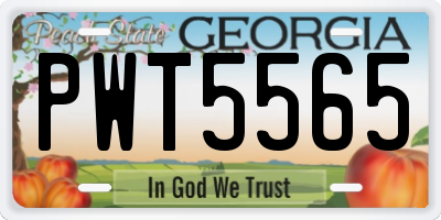 GA license plate PWT5565