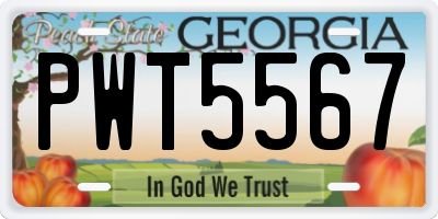 GA license plate PWT5567