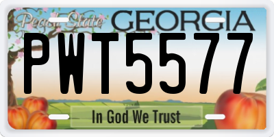 GA license plate PWT5577
