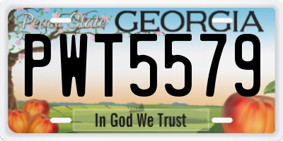 GA license plate PWT5579