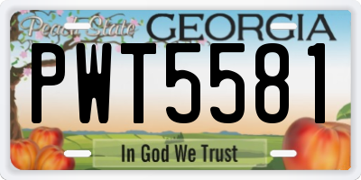 GA license plate PWT5581