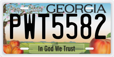 GA license plate PWT5582