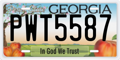 GA license plate PWT5587