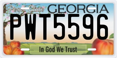 GA license plate PWT5596