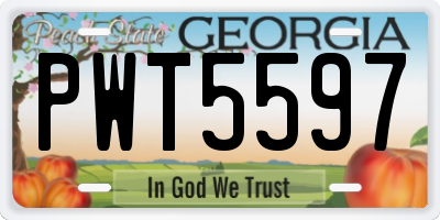 GA license plate PWT5597