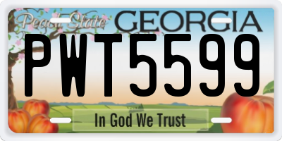 GA license plate PWT5599