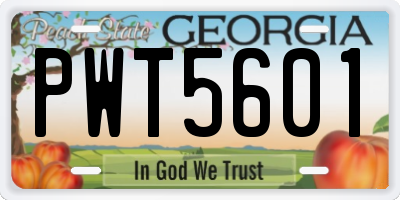 GA license plate PWT5601