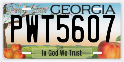 GA license plate PWT5607
