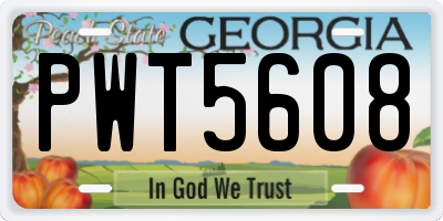 GA license plate PWT5608