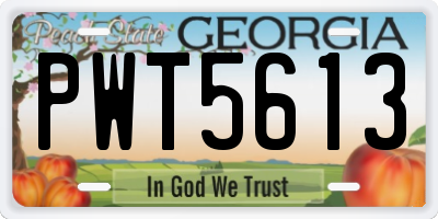 GA license plate PWT5613