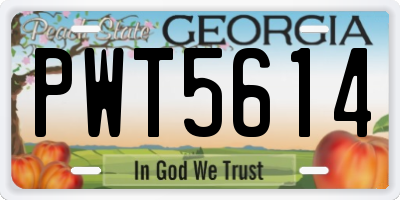 GA license plate PWT5614