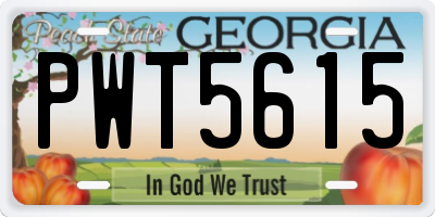 GA license plate PWT5615