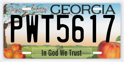 GA license plate PWT5617