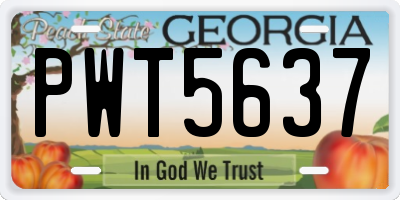 GA license plate PWT5637